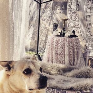 Meet your Posher, Jonelle